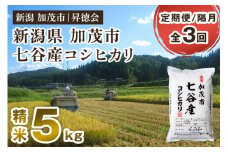 【令和6年産米】【定期便3回隔月お届け】新潟県加茂市 七谷産コシヒカリ 精米5kg 白米 高柳地域産数量限定 昇徳会 定期便
