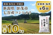 【令和6年産米】【定期便6ヶ月毎月お届け】新潟県加茂市 七谷産コシヒカリ 精米10kg（5kg×2） 白米 高柳地域産数量限定 昇徳会 定期便