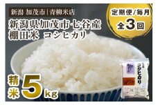 【令和6年産米】【定期便3回毎月お届け】新潟産コシヒカリ 加茂市七谷産 棚田米 精米5kg 白米 真空パック 青柳米店 定期便