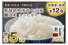 【令和6年産米】【定期便12ヶ月毎月お届け】新潟産コシヒカリ 加茂市七谷産 棚田米 精米5kg 白米 真空パック 青柳米店 定期便
