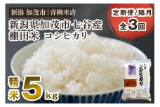 【令和6年産米】【定期便3回隔月お届け】新潟産コシヒカリ 加茂市七谷産 棚田米 精米5kg 白米 真空パック 青柳米店 定期便