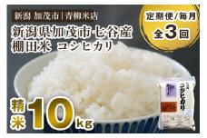 【令和6年産米】【定期便3回毎月お届け】新潟産コシヒカリ 加茂市七谷産 棚田米 精米10kg（5kg×2）白米 真空パック 青柳米店 定期便