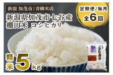 【令和6年産米】【定期便6ヶ月毎月お届け】新潟産コシヒカリ 加茂市七谷産 棚田米 精米5kg 白米 真空パック 青柳米店 定期便