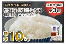 【令和6年産米】【定期便3回隔月お届け】新潟産コシヒカリ 加茂市七谷産 棚田米 精米10kg（5kg×2）白米 真空パック 青柳米店 定期便