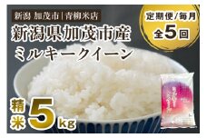 【令和6年産米】【定期便5ヶ月毎月お届け】新潟県央地区 ミルキークイーン 精米5kg 新潟米 新潟産 お米  白米 加茂市 青柳米店
