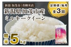 【令和6年産米】【定期便3回毎月お届け】新潟県央地区 ミルキークイーン 精米5kg 新潟米 新潟産 お米  白米 加茂市 青柳米店
