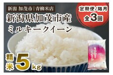 【令和6年産米】【定期便3回隔月お届け】新潟県央地区 ミルキークイーン 精米5kg 新潟米 新潟産 お米  白米 加茂市 青柳米店