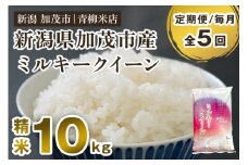 【令和6年産米】【定期便5ヶ月毎月お届け】新潟県央地区 ミルキークイーン 精米10kg（5kg×2）新潟米 新潟産 お米 白米 加茂市 青柳米店