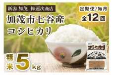 【令和6年産米】【定期便12ヶ月毎月お届け】新潟県加茂市七谷産コシヒカリ 精米5kg 白米 捧運次商店 定期便