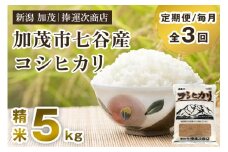 【令和6年産米】【定期便3回毎月お届け】新潟県加茂市七谷産コシヒカリ 精米5kg 白米 捧運次商店 定期便