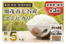 【令和6年産米】【定期便3回隔月お届け】新潟県加茂市七谷産コシヒカリ 精米5kg 白米 捧運次商店 定期便