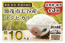【令和6年産米】【定期便3回隔月お届け】新潟県加茂市七谷産コシヒカリ 精米10kg（5kg×2）白米 捧運次商店 定期便