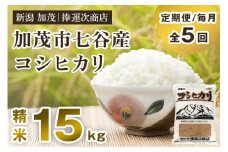 【令和6年産米】【定期便5ヶ月毎月お届け】新潟県加茂市七谷産コシヒカリ 精米15kg（5kg×3）白米 捧運次商店 定期便