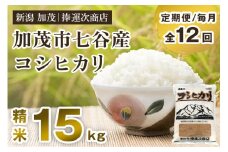 【令和6年産米】【定期便12ヶ月毎月お届け】新潟県加茂市七谷産コシヒカリ 精米15kg（5kg×3）白米 捧運次商店 定期便