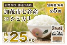 【定期便5ヶ月毎月お届け】新潟県加茂市七谷産コシヒカリ 精米25kg（5kg×5）白米 捧運次商店 定期便