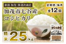 【定期便12ヶ月毎月お届け】新潟県加茂市七谷産コシヒカリ 精米25kg（5kg×5）白米 捧運次商店 定期便