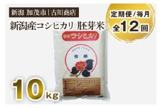 【定期便12ヶ月毎月お届け】新潟県加茂市産 コシヒカリ 胚芽米 10kg お米 米 お米の専門店 古川商店 定期便