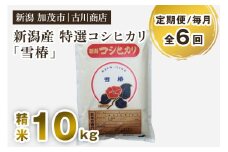 【定期便6ヶ月毎月お届け】特選コシヒカリ「雪椿」精米10kg 白米 お米 米 加茂市 お米の専門店 古川商店 新潟県産 定期便