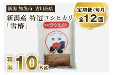 【定期便12ヶ月毎月お届け】特選コシヒカリ「雪椿」精米 10kg 白米 お米 米 加茂市 お米の専門店 古川商店 新潟県産 定期便