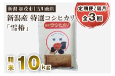 【定期便3回隔月お届け】特選コシヒカリ「雪椿」精米 10kg 白米 お米 米 加茂市 お米の専門店 古川商店 新潟県産 定期便