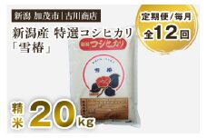【定期便12ヶ月毎月お届け】【令和6年産米】特選コシヒカリ「雪椿」精米 20kg 白米 お米 米 加茂市 お米の専門店 古川商店 新潟県産 定期便