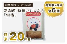 【定期便6ヶ月毎月お届け】【令和6年産米】特選コシヒカリ「雪椿」精米 20kg 白米 お米 米 加茂市 お米の専門店 古川商店 新潟県産 定期便