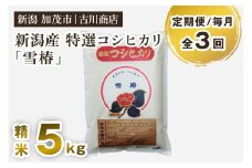 【定期便3回毎月お届け】特選コシヒカリ「雪椿」精米 5kg 白米 加茂市 お米の専門店 古川商店 新潟県 加茂市産 定期便