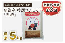 【定期便3回隔月お届け】特選コシヒカリ「雪椿」精米 5kg 白米 お米 米 加茂市 お米の専門店 古川商店 新潟県 加茂市産 定期便