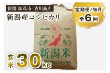 【定期便6ヶ月毎月お届け】【令和6年産米】コシヒカリ 玄米 30kg お米 米 お米の専門店 古川商店 新潟県 加茂市産 定期便