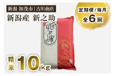 【定期便6ヶ月毎月お届け】新潟の新ブランド米「新之助」精米10kg 白米 お米 米 大粒 加茂市 お米の専門店 古川商店 定期便