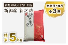 【定期便3回毎月お届け】新潟の新ブランド米「新之助」精米 5kg 白米 お米 米 大粒 加茂市 お米の専門店 古川商店 定期便