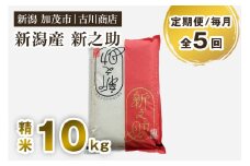 【定期便5ヶ月毎月お届け】新潟の新ブランド米「新之助」精米 10kg 白米 お米 米 大粒 加茂市 お米の専門店 古川商店 定期便