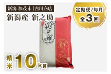 【定期便3回毎月お届け】新潟の新ブランド米「新之助」精米 10kg 白米 お米 米 大粒 加茂市 お米の専門店 古川商店 定期便