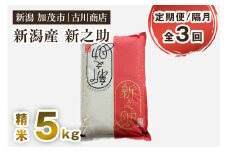 【定期便3回隔月お届け】新潟の新ブランド米「新之助」精米 5kg 白米 お米 米 大粒 加茂市 お米の専門店 古川商店 定期便