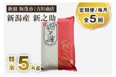 【定期便5ヶ月毎月お届け】新潟の新ブランド米「新之助」精米 5kg 白米 お米 米 大粒 加茂市 お米の専門店 古川商店 定期便