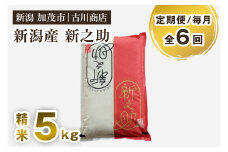 【定期便6ヶ月毎月お届け】新潟の新ブランド米「新之助」精米 5kg 白米 お米 米 大粒 加茂市 お米の専門店 古川商店 定期便