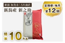 【定期便12ヶ月毎月お届け】新潟の新ブランド米「新之助」精米10kg 白米 お米 米 大粒 加茂市 お米の専門店 古川商店 定期便