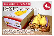 【2024年】【贈答用】西洋梨 ル・レクチェ 約4㎏（9～12玉）《11月下旬以降発送》幻の洋梨 フルーツ 贈答 冬の味覚 加茂市 いずみ果樹園