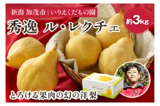 【2024年】【秀逸】 幻の洋梨 ル・レクチェ 約3㎏ （7～11玉） 《11月下旬以降発送》 西洋梨 フルーツ 贈答 新潟の冬の味覚 加茂市 いりえくだもの園
