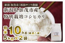 【令和6年産米】化学肥料不使用 従来コシヒカリ 10kg【厳選八蔵】特別栽培 従来品種 有機肥料 精米 米 お米 加茂市 新潟サトウ農園
