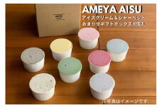 AMEYA AISU アイスクリーム＆シャーベット 6個入 おまかせギフトボックス 北海道産あずき使用 食べ比べセット ギフトセット 贈答 アイスクリームセット シャーベット ジェラート 青木飴屋 アメヤアイス 加茂市