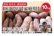 新潟県 加茂市産 紅はるか 【家庭用】 10kg 《順次発送》 人気 さつまいも 訳あり 家庭用 さつまいも 熟成 さつまいも しっとり甘みの強い ねっとりとした食感 さつまいも 焼き芋 焼芋 スイートポテト 加茂市 織原農園