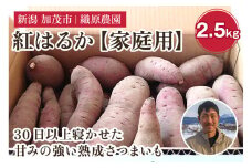 新潟県 加茂市産 紅はるか 【家庭用】 2.5kg 《順次発送》 人気 さつまいも 訳あり 家庭用 さつまいも 熟成 さつまいも しっとり甘みの強い ねっとりとした食感 さつまいも 焼き芋 焼芋 スイートポテト 加茂市 織原農園