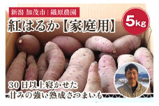 新潟県 加茂市産 紅はるか 【家庭用】 5kg 《順次発送》 人気 さつまいも 訳あり 家庭用 さつまいも 熟成 さつまいも しっとり甘みの強い ねっとりとした食感 さつまいも 焼き芋 焼芋 スイートポテト 加茂市 織原農園