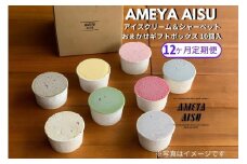 【定期便12ヶ月毎月お届け】AMEYA AISU アイスクリーム＆シャーベット 10個入 おまかせギフトボックス 北海道産あずき使用 食べ比べセット ギフトセット 贈答 アイスクリームセット シャーベット ジェラート 青木飴屋 アメヤアイス 加茂市 定期便