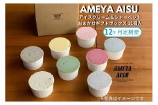 【定期便12ヶ月毎月お届け】AMEYA AISU アイスクリーム＆シャーベット 12個入 おまかせギフトボックス 北海道産あずき使用 食べ比べセット ギフトセット 贈答 アイスクリームセット シャーベット ジェラート 青木飴屋 アメヤアイス 加茂市 定期便