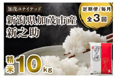 【令和7年産新米先行予約】【定期便3ヶ月毎月お届け】新潟県産 新之助 精米10kg 《5kg×2袋》《10月上旬から順次発送》 新潟 ブランド米 加茂市 加茂ユナイテッド