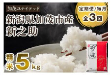 【令和7年産新米先行予約】【定期便3ヶ月毎月お届け】新潟県産 新之助 精米5kg 《5kg×1袋》《10月上旬から順次発送》 新潟 ブランド米 加茂市 加茂ユナイテッド