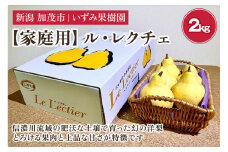 【2024年】【家庭用】西洋梨ル・レクチェ 約2㎏（5～7玉）《11月下旬以降発送》幻の洋梨 フルーツ 贈答 冬の味覚 加茂市 いずみ果樹園