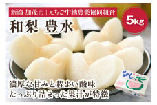 【2025年先行予約】「天果糖逸（てんかとういつ）」 新潟県産和梨 豊水 約5kg（9～14玉）《9月上旬〜配送予定》 ほうすい 果物 フルーツ 冬の味覚 産地直送 加茂市 えちご中越農業協同組合